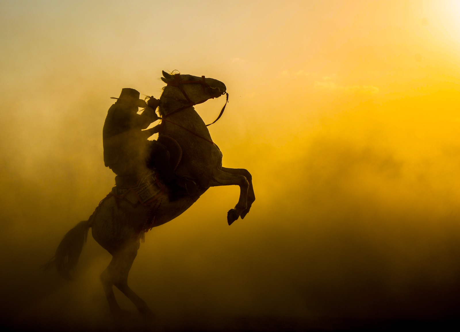 ÜCRETSİZ PHOTO WORKSHOP: İÇİMİZDEN BİRİ "MUHAMMED EMİN YILDIZ" - Görsel 5